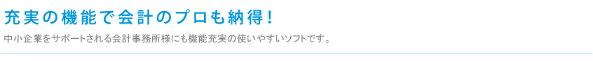 充実の機能で会計のプロも納得！